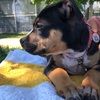 bhremack